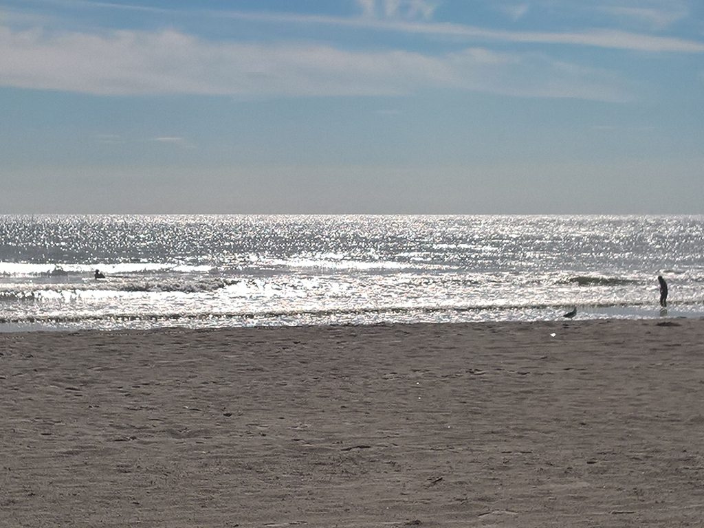 beach orlando 2400 pixels