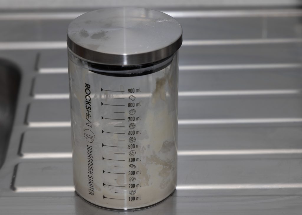 sourdough starter